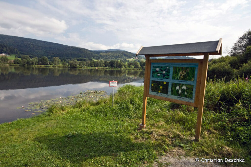 003_Fisch-und-Wasserpflanzenweg