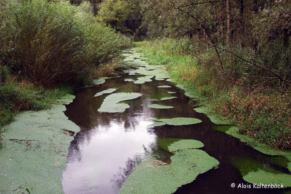 003_Naturinfozentrum-Saxen