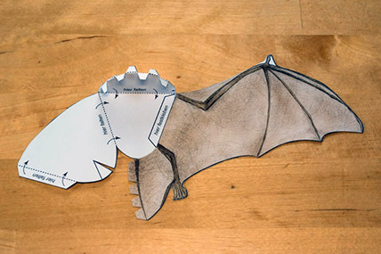 005_Bauanleitung-Fledermausmodell