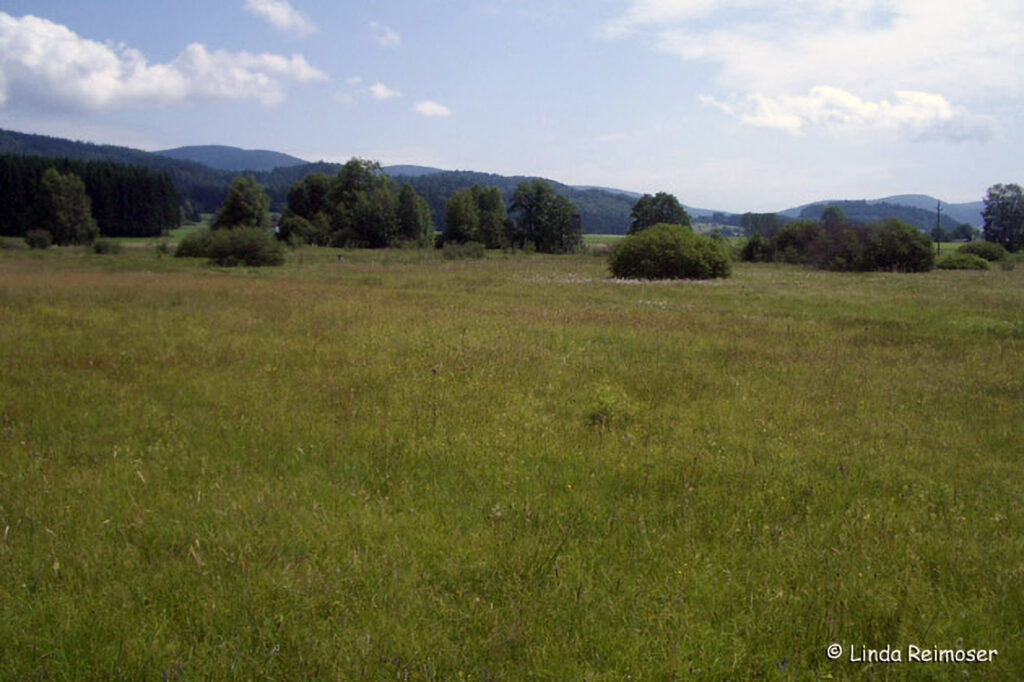 005_Kulturlandschaft