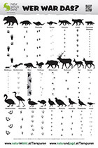 Poster_Tierspurenbestimmung_2014_A1_Christian