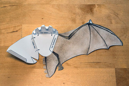 006_Bauanleitung-Fledermausmodell
