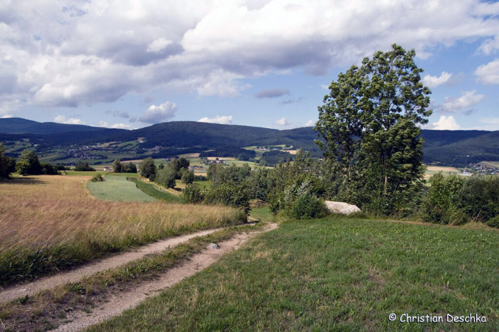 006_Landschaftsschutzgebiet-Oedenkirchen