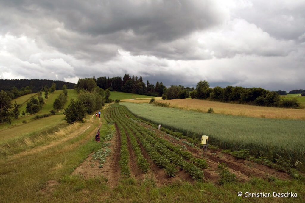 009_Landschaftsschutzgebiet-Oedenkirchen