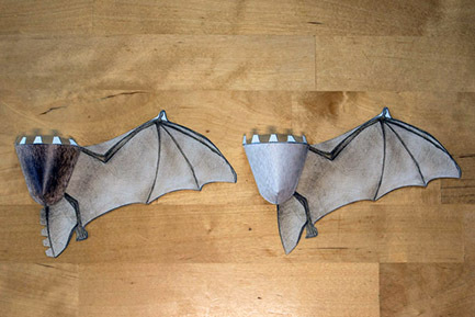 010_Bauanleitung-Fledermausmodell