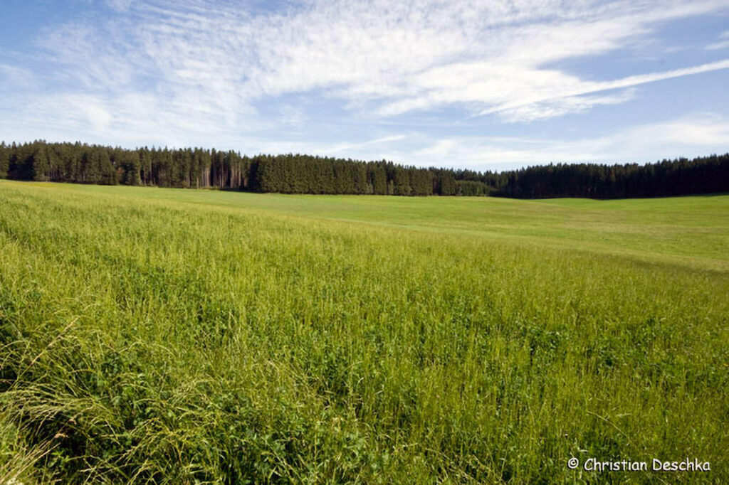 010_Landschaftsschutzgebiet-Oedenkirchen