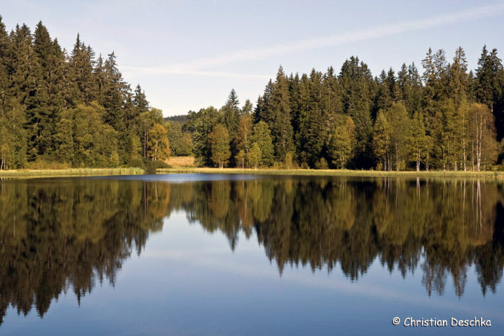 010_Rosenhofteiche