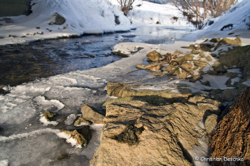 010_Tierspuren-Fotos