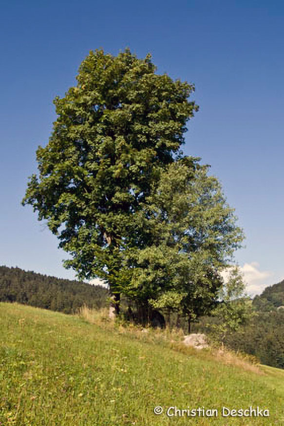 012_2_Kulturlandschaft