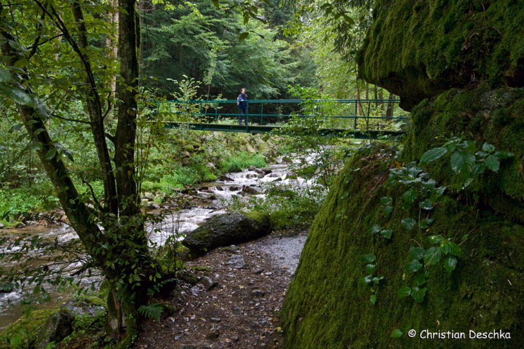 012_Naturschutzgebiet-Pesenbachtal