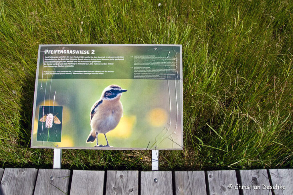 012_Unterwasserreich