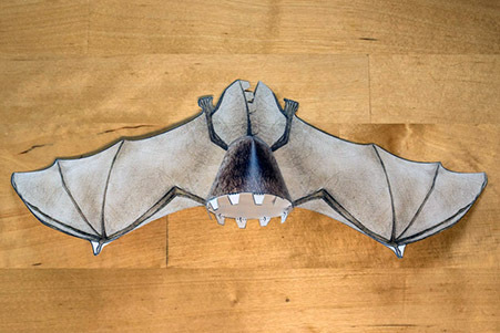 013_Bauanleitung-Fledermausmodell