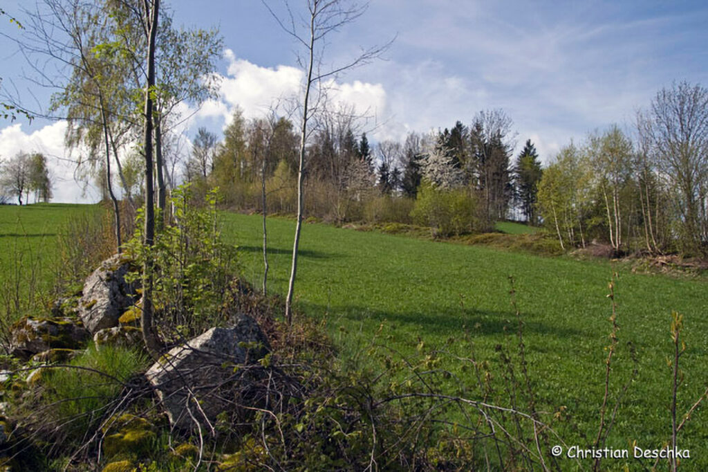 013_Landschaftsschutzgebiet-Oedenkirchen