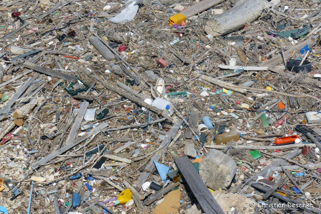 014_Feuersalamandermodell