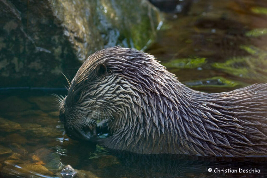 014_Unterwasserreich