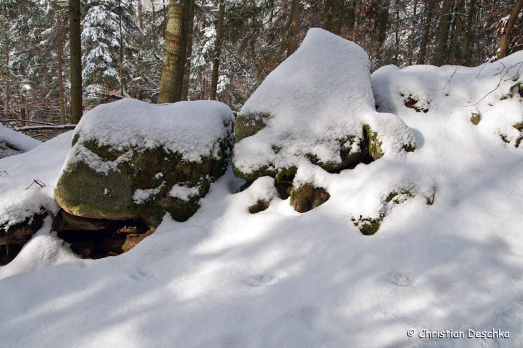 015_Tierspuren-im-Schnee