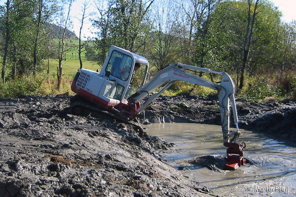 016_Amphibienprojekt