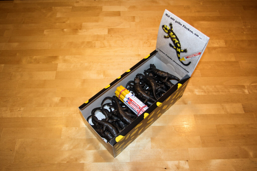 016_Feuersalamandermodell