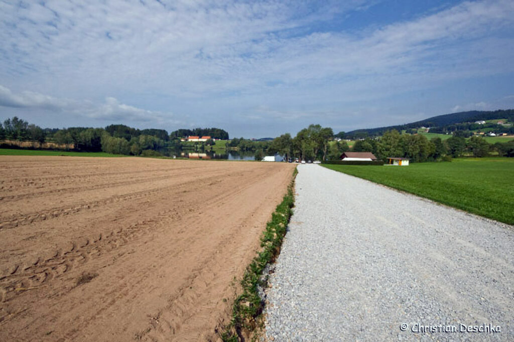 016_Fisch-und-Wasserpflanzenweg