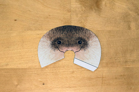 017_Bauanleitung-Fledermausmodell