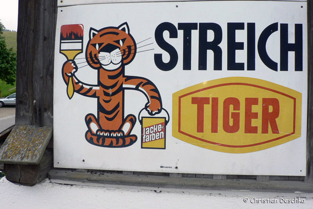 017_Fledermausprojekt