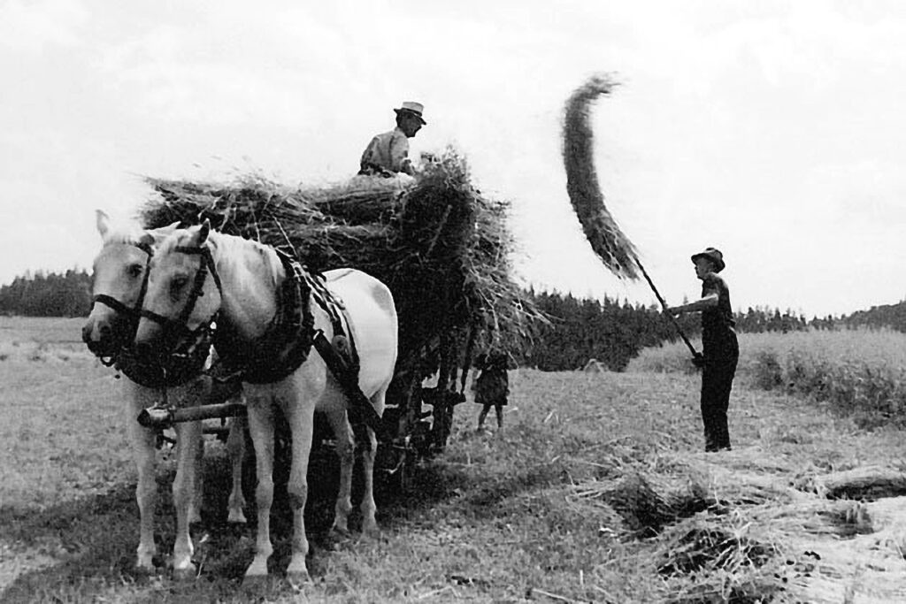 018_Kulturlandschaft