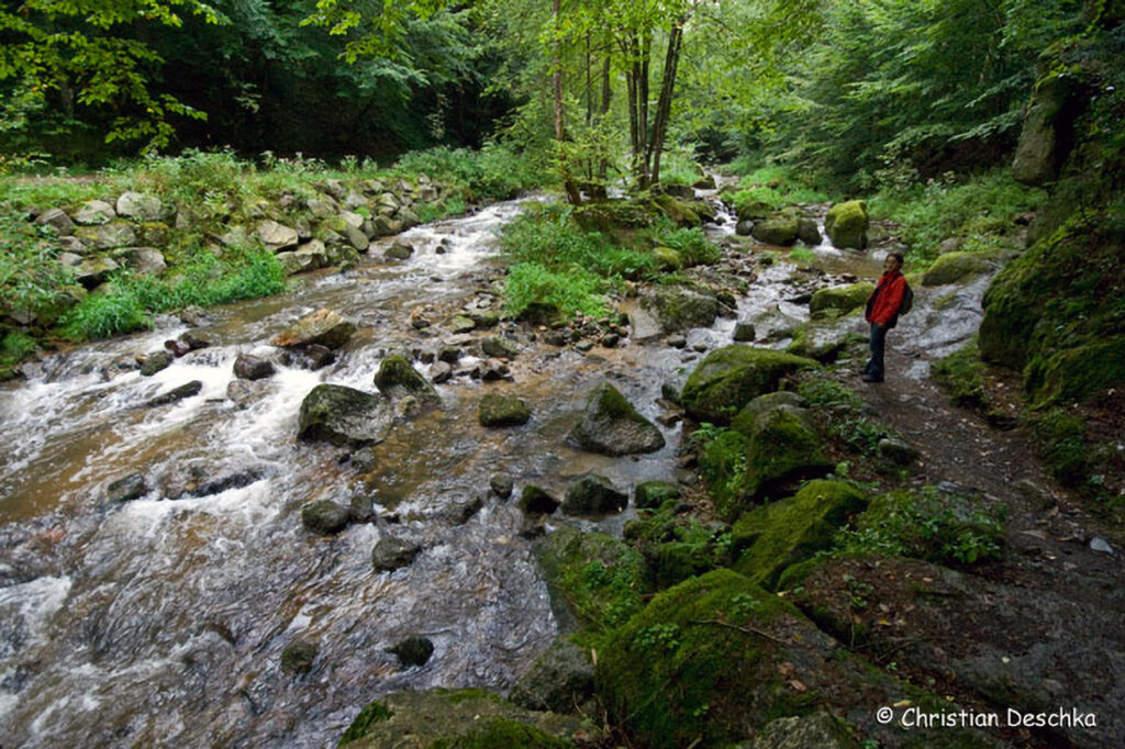018_Naturschutzgebiet-Pesenbachtal