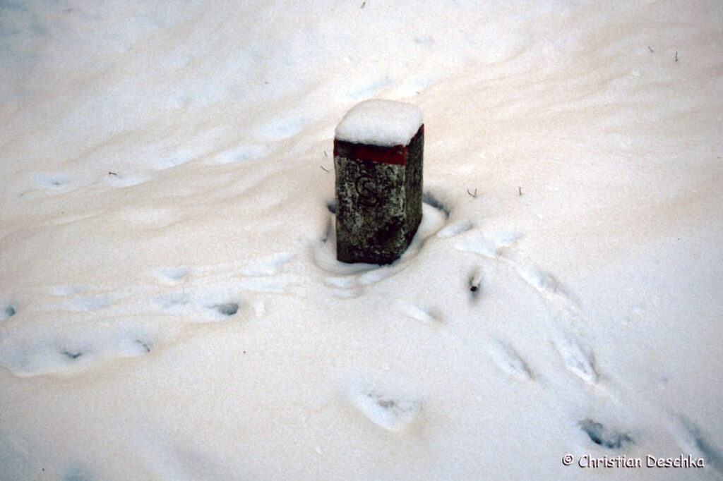 018_Tierspuren-im-Schnee