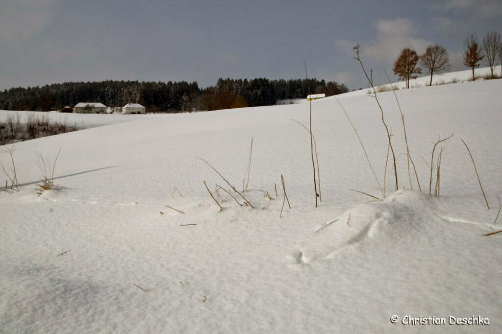 020_Tierspuren-Fotos