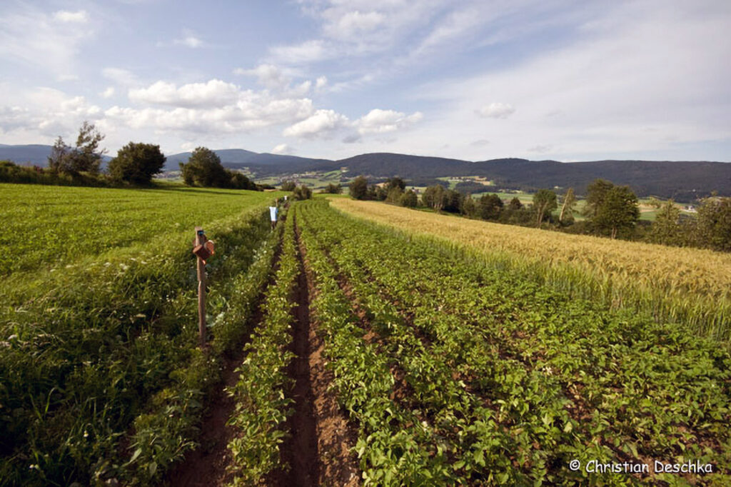 021_Landschaftsschutzgebiet-Oedenkirchen
