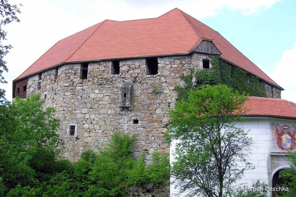 021_Voegel-an-Gebaeuden