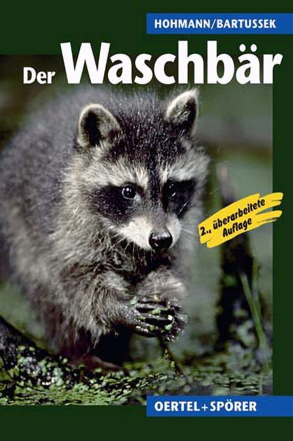 021_Waschbaer