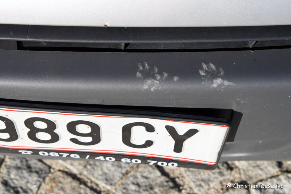 022_Tierspuren-Fotoquiz