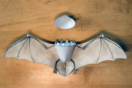 023_Bauanleitung-Fledermausmodell