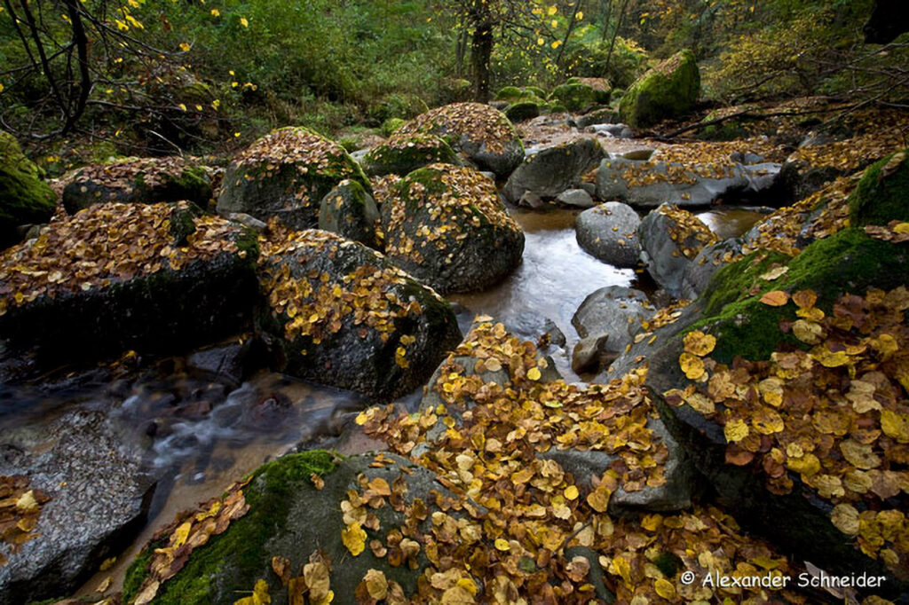 023_Naturinfozentrum-Saxen