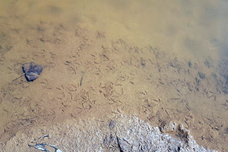 024_Umfahrung-Peilstein