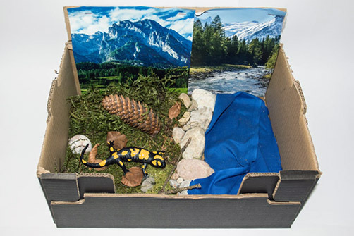 026_Feuersalamandermodell