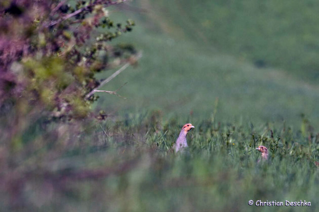 026_Kulturlandschaft