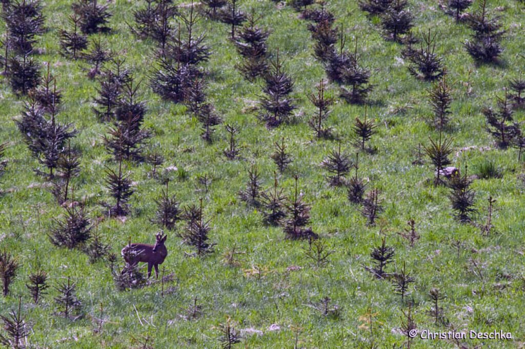 026_Landschaftsschutzgebiet-Oedenkirchen