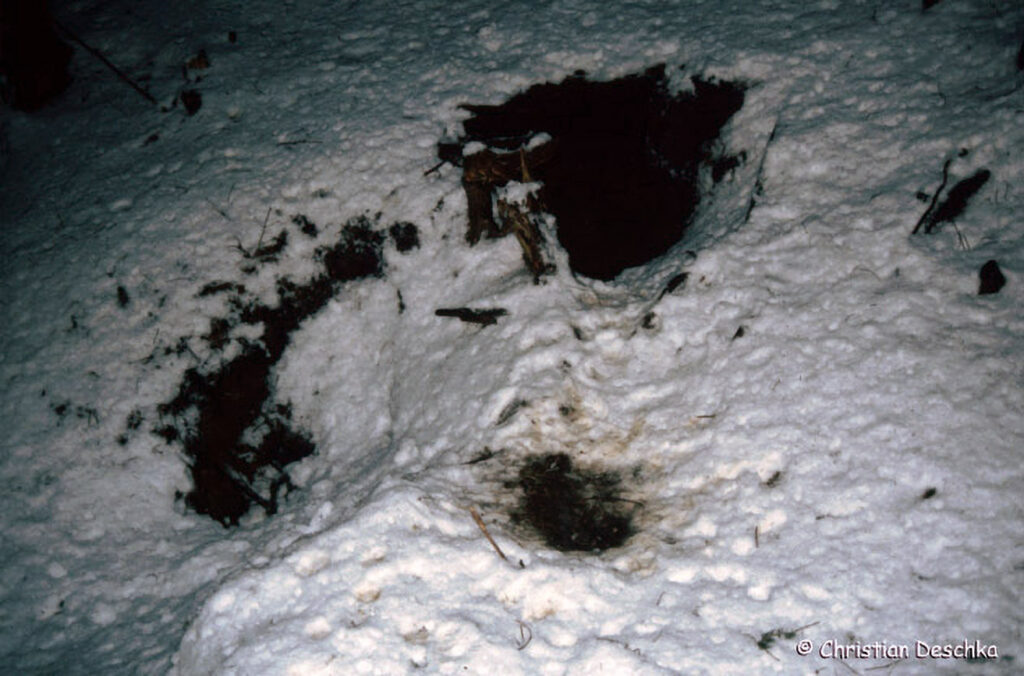 027_Tierspuren-im-Schnee