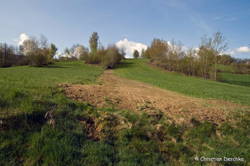 028_Landschaftsschutzgebiet-Oedenkirchen