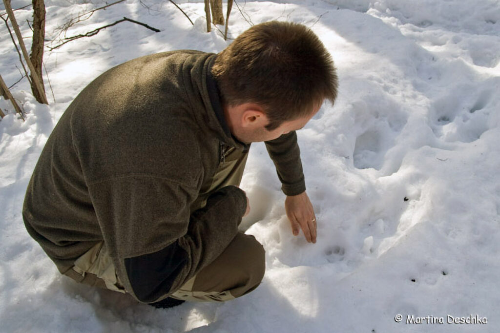 030_Tierspuren-Fotoquiz