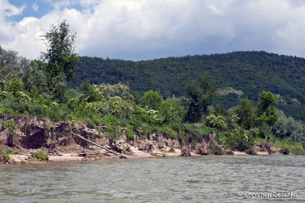 033_Donau