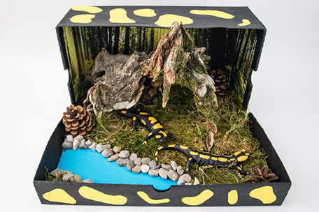 033_Feuersalamandermodell