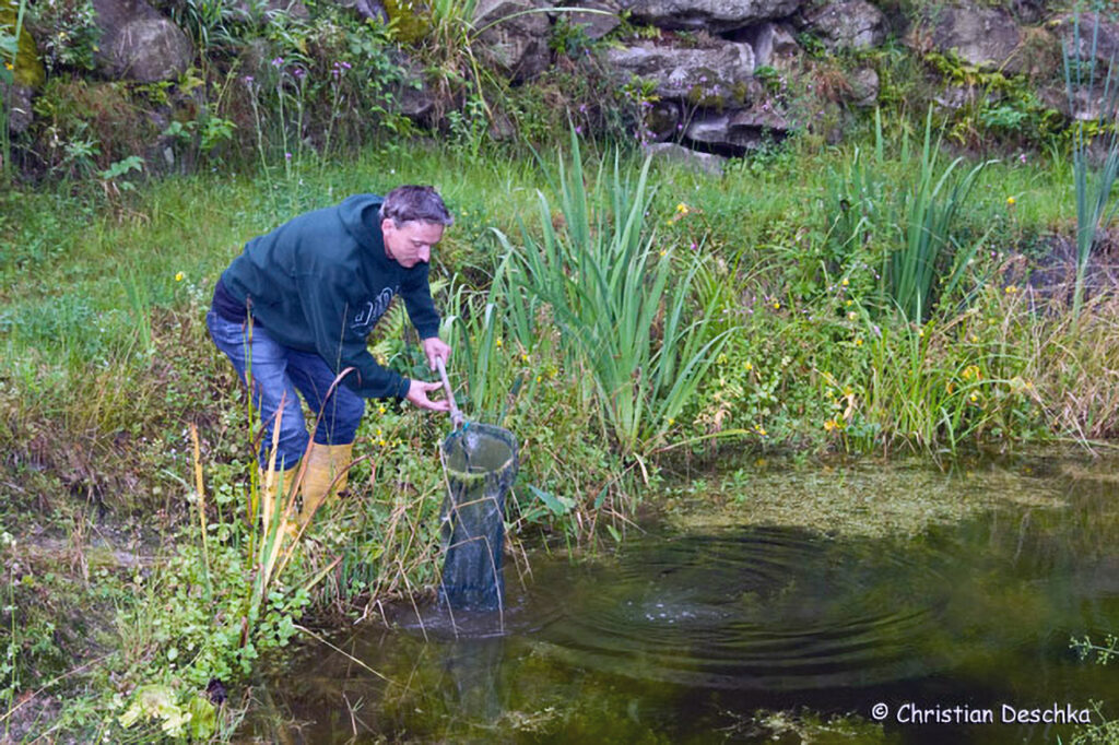035_Amphibienprojekt
