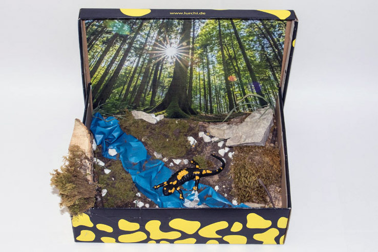 040_Feuersalamandermodell