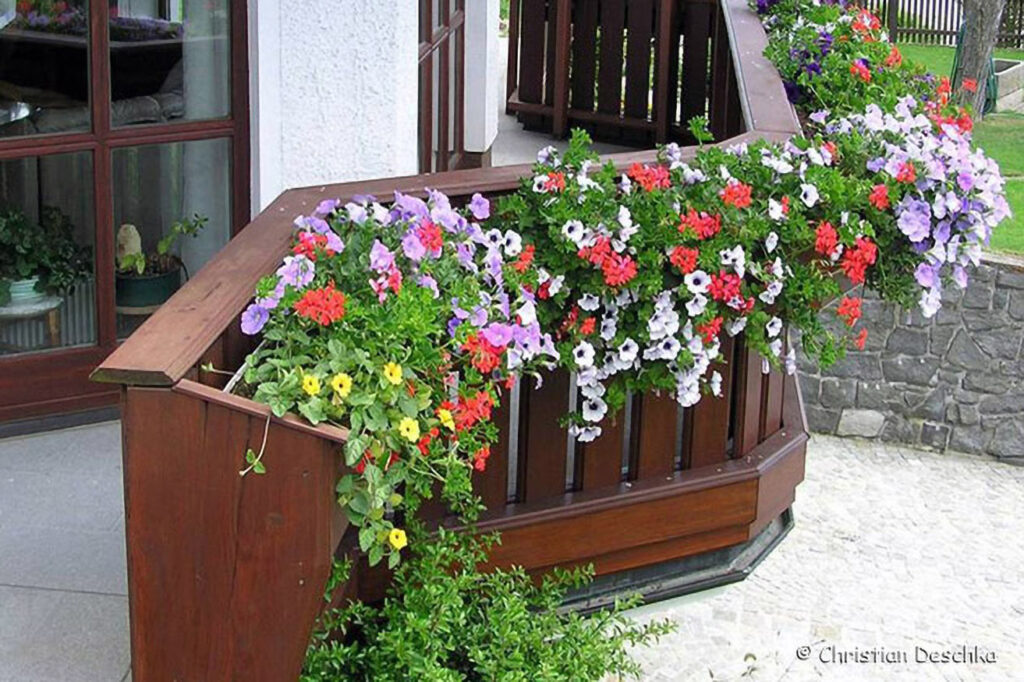 041_Voegel-an-Gebaeuden