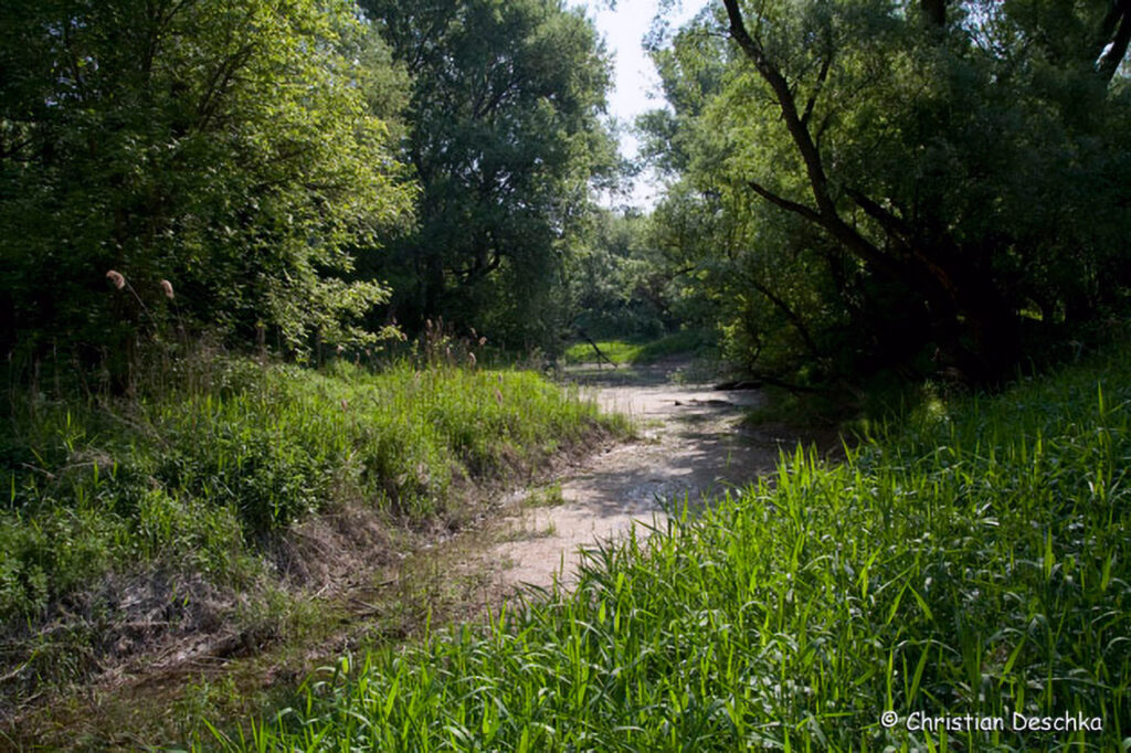 045_Donau