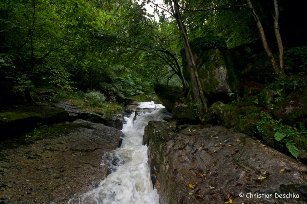 048_Naturschutzgebiet-Pesenbachtal
