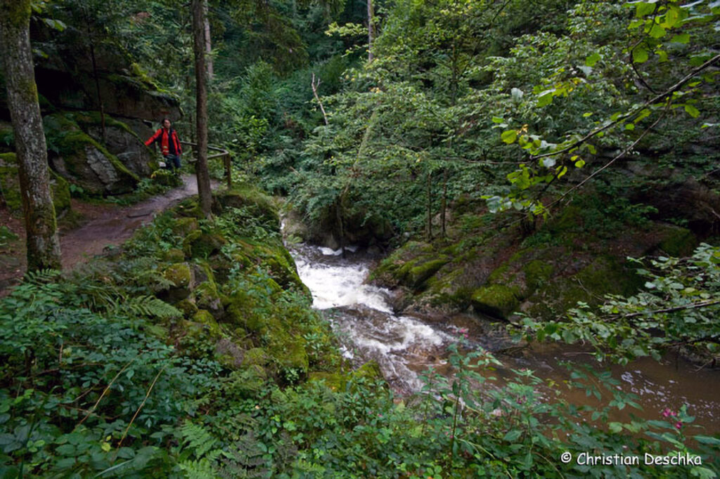 049_Naturschutzgebiet-Pesenbachtal